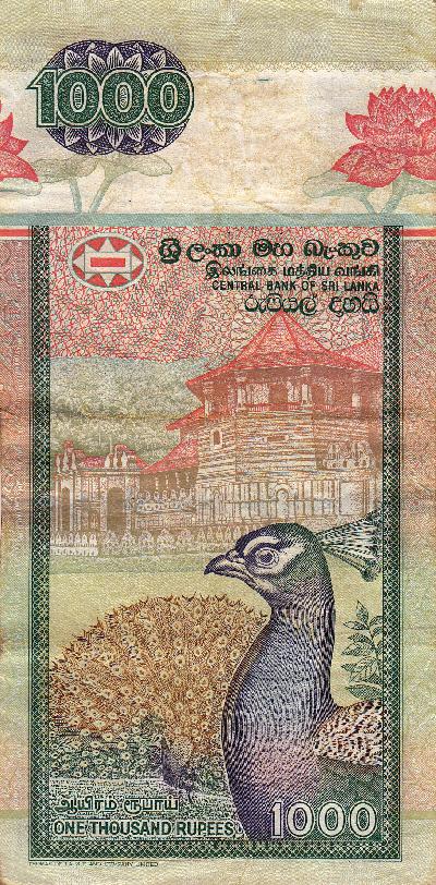 Beschrijving achterzijde: PEACOCK